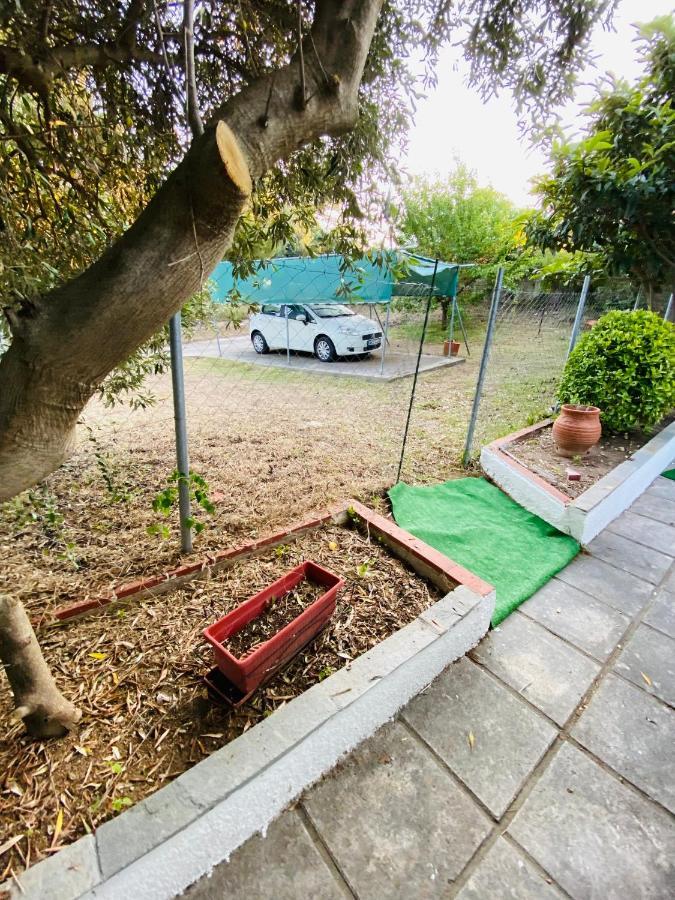 Koker's Place Holiday home *